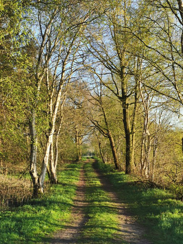Ringstraße 28, Weener nach Ringstraße 28A, Weener