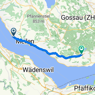 Feldmeilen-Hombrechtikon
