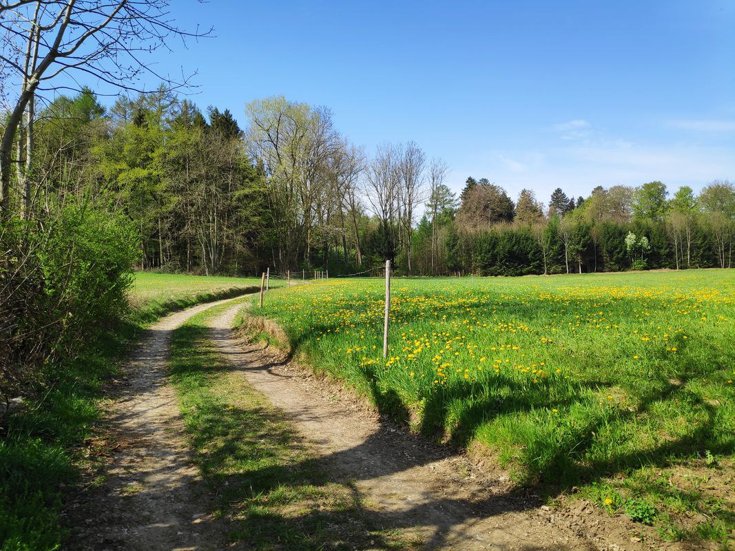 Mitterfeldstraße 26, Altenstadt nach Mitterfeldstraße 26, Altenstadt
