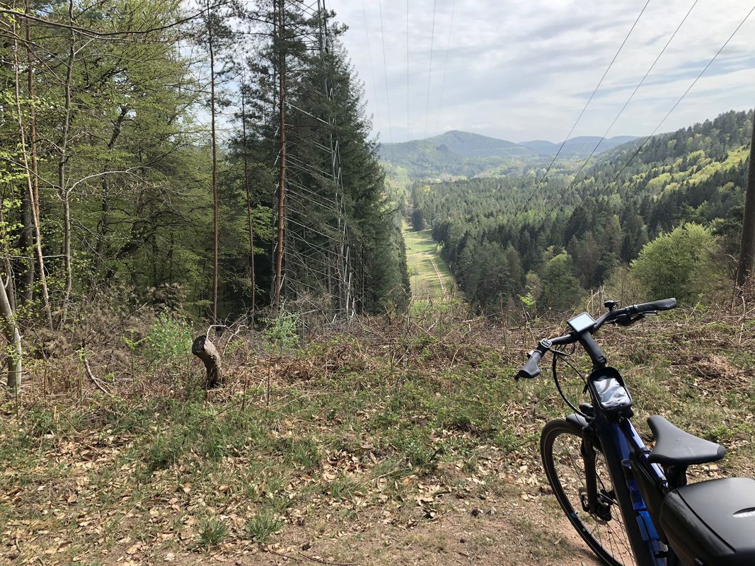 Rundfahrt Wilgartswiesen