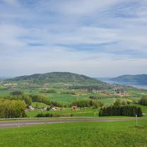 Buchberg-Kronberg Runde