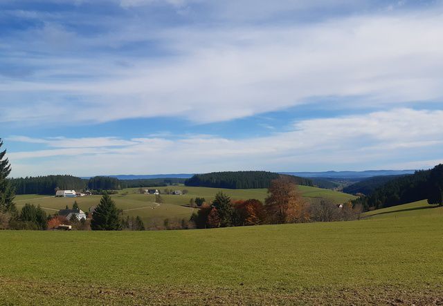 Auerhahn und Vöhrenbach