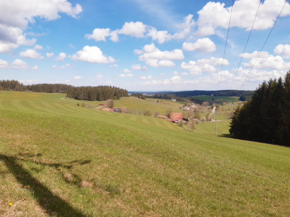 Auerhahn und Vöhrenbach