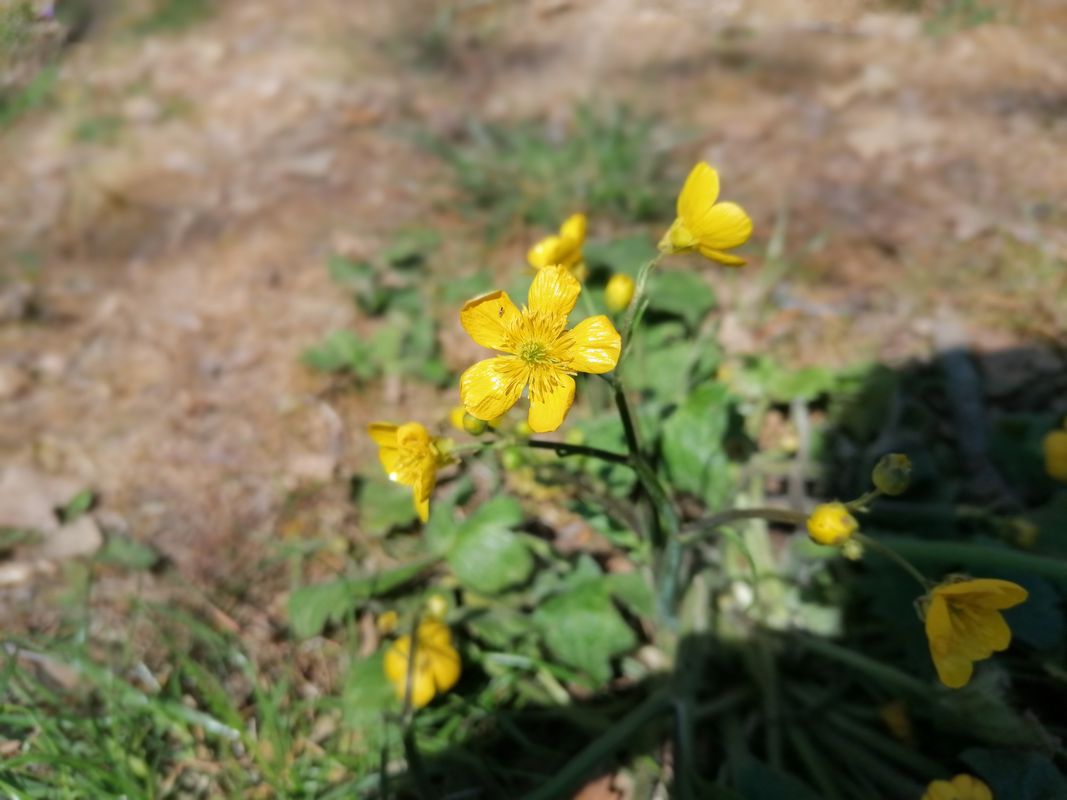 ж.к. Чайка 28, Варна to ж.к. Чайка 29А, Варна