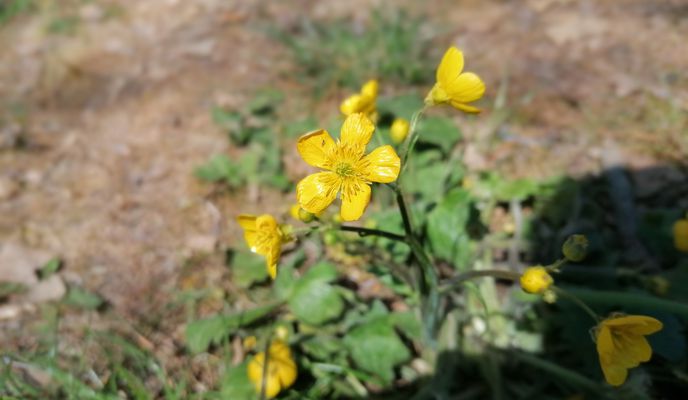 Foto 1 der Bikemap-Route "ж.к. Чайка 28, Варна to ж.к. Чайка 29А, Варна" Foto 1 der Bikemap-Route "ж.к. Чайка 28, Варна to ж.к. Чайка 29А, Варна"