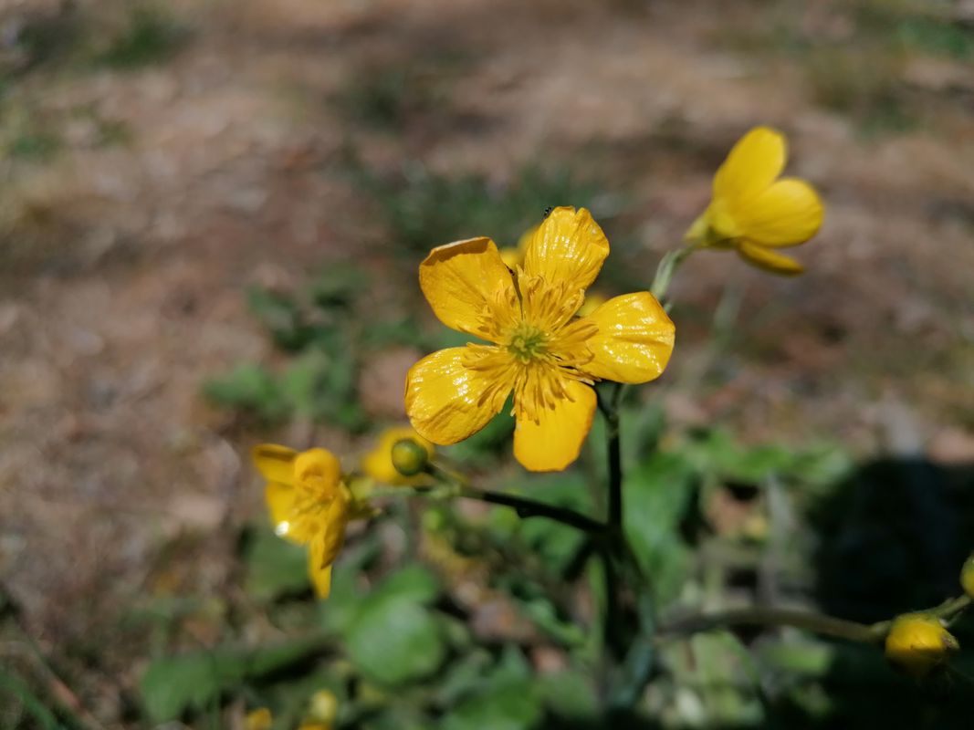 ж.к. Чайка 28, Варна to ж.к. Чайка 29А, Варна