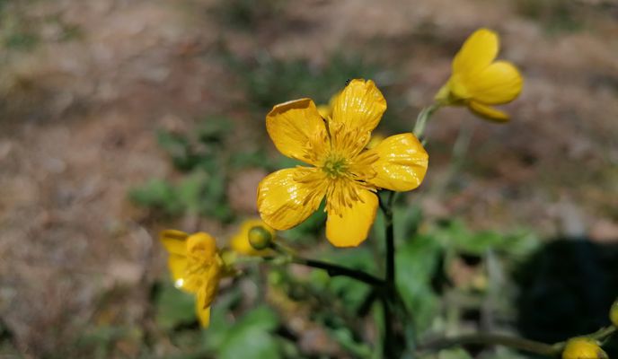 Foto 2 der Bikemap-Route "ж.к. Чайка 28, Варна to ж.к. Чайка 29А, Варна" Foto 2 der Bikemap-Route "ж.к. Чайка 28, Варна to ж.к. Чайка 29А, Варна"