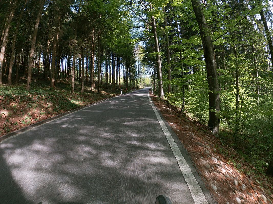 Egerkignen, Belchenflue, Wangen b. Olten