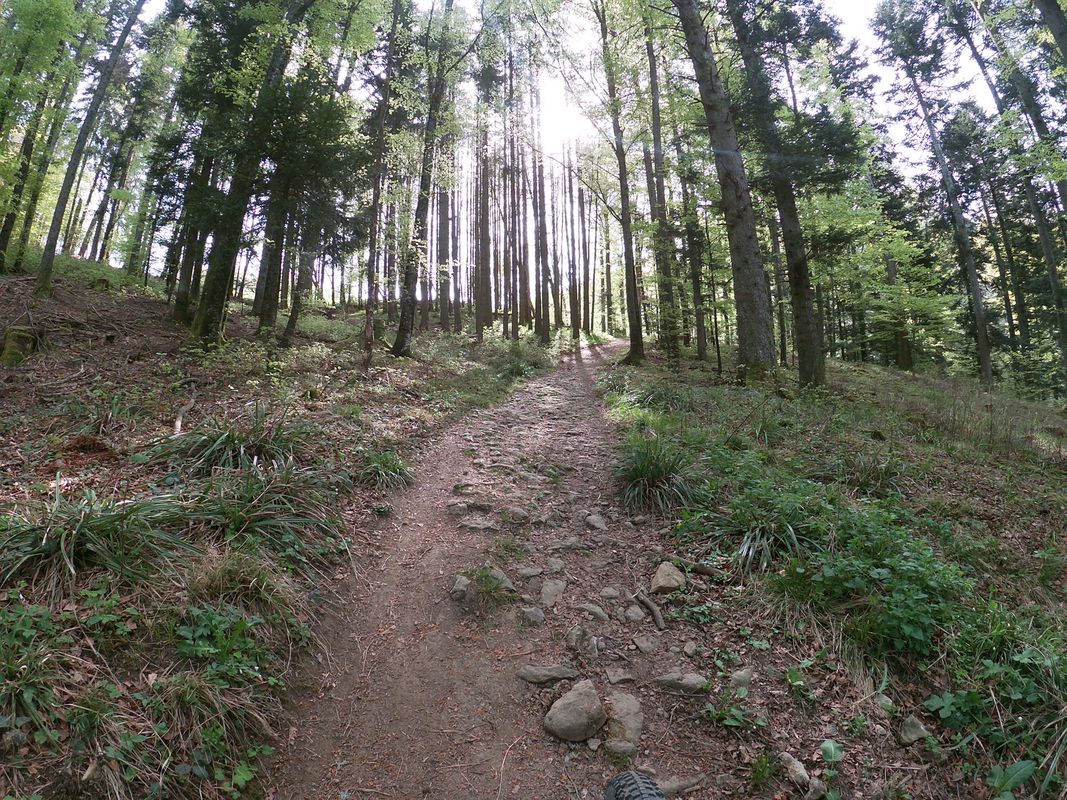 Egerkignen, Belchenflue, Wangen b. Olten