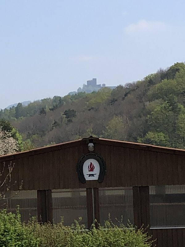Rundweg über Wernersberg-Annweiler