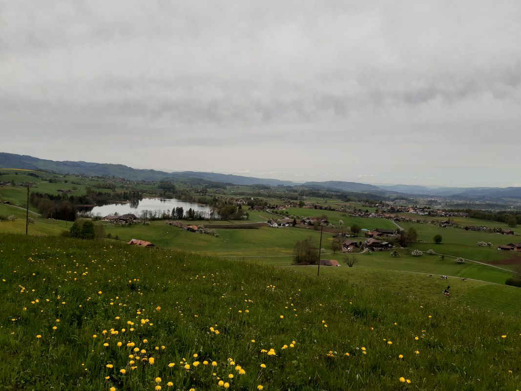 Spiez-Amsoldingen-Hohlinde-Zwieselberg-Spiez