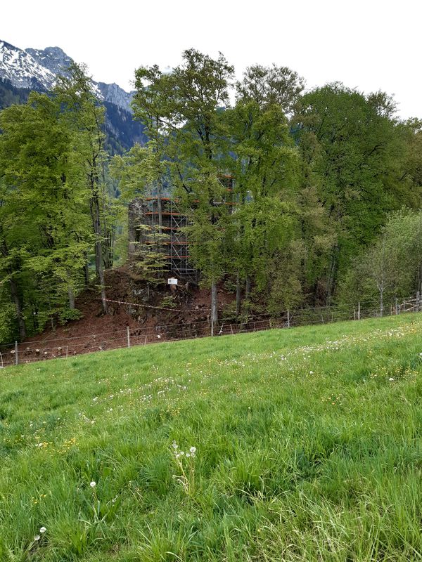 Spiez-Amsoldingen-Hohlinde-Zwieselberg-Spiez