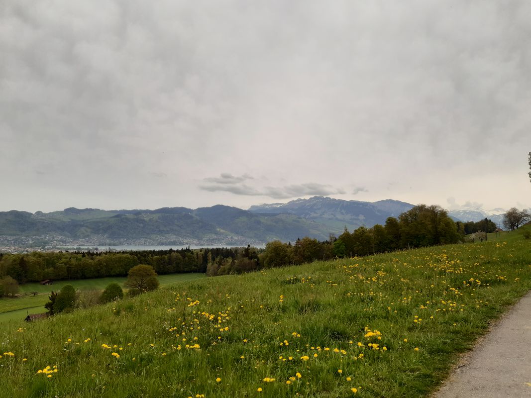 Spiez-Amsoldingen-Hohlinde-Zwieselberg-Spiez