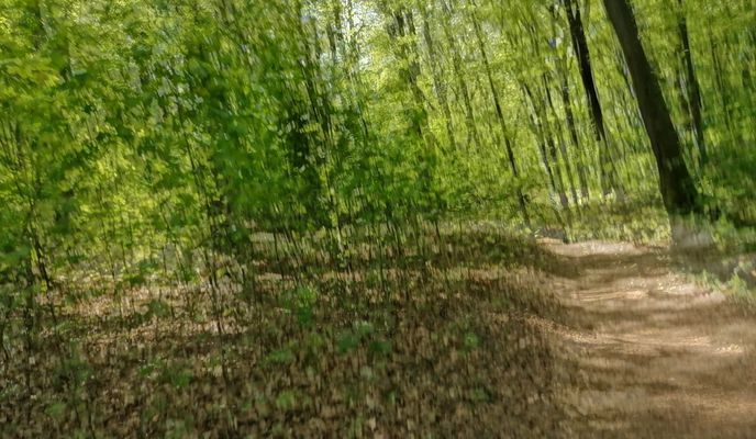 Foto 2 de la ruta de Bikemap "Grumme - Gysenberg - Grumme"