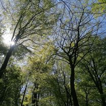 Grumme - Gysenberg - Grumme