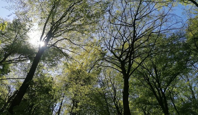 Foto 1 de la ruta de Bikemap "Grumme - Gysenberg - Grumme"