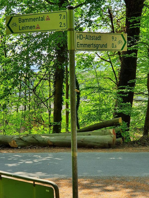 Pfaffengrund - Königsstuhl und zurück (E-Bike)