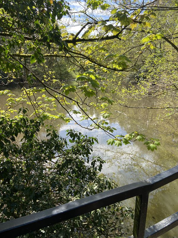 Moderate route in Runcorn