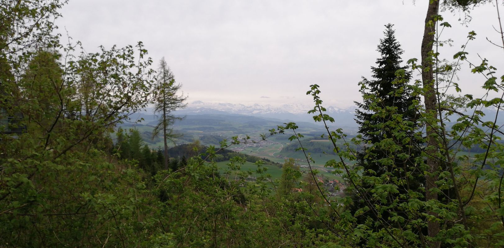 Kernenriedstrasse 1, Lyssach nach Bantigen 334, Bolligen
