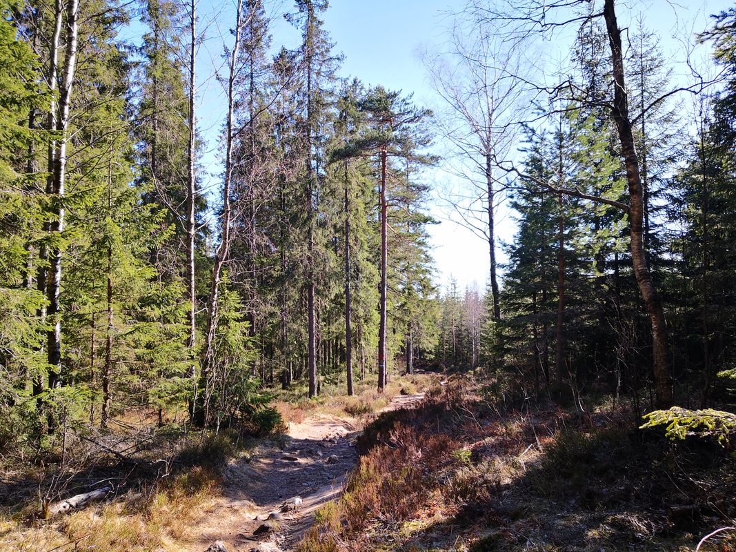 Bjønndalsveien 20 to Bregneveien 12C