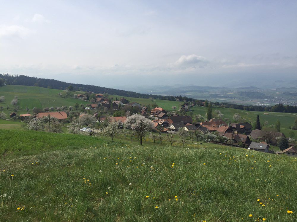 Wrach-Häutligen-Stalden-Aebersold-Ringgis-Chuderhüsi-Bowil-Diessbach-Wrach, 43km, 1300hm