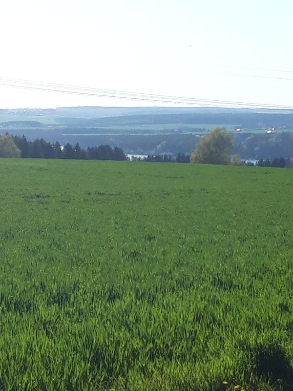 Untere Neustadt 24, Zeulenroda-Triebes nach Untere Neustadt 26, Zeulenroda-Triebes