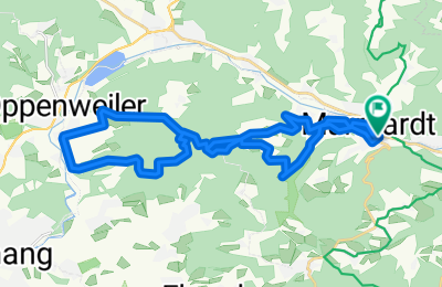 Route in der Bikemap App öffnen