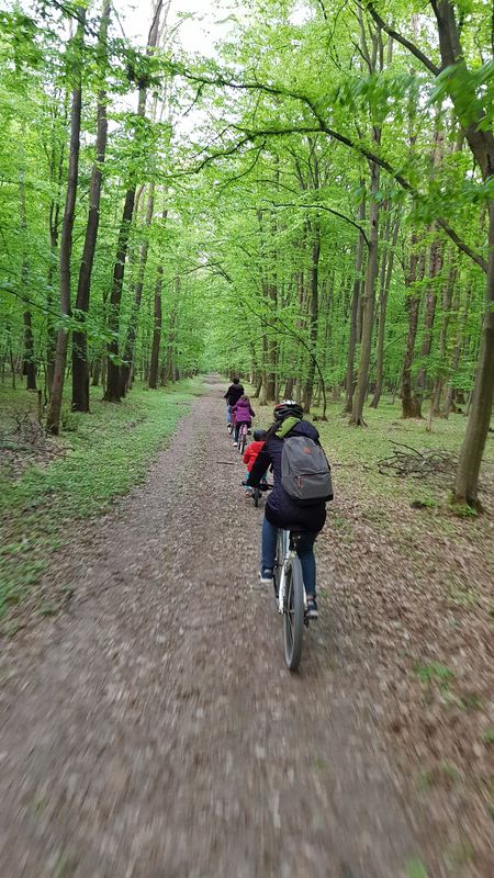 Str. Crinului, Dascălu to Str. Crinului, Dascălu