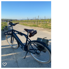 Zum Rhein und zurück