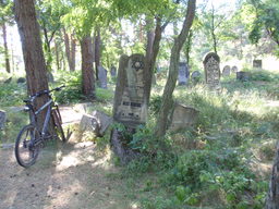 Highlight 4 along the Bikemap route "Awaria"