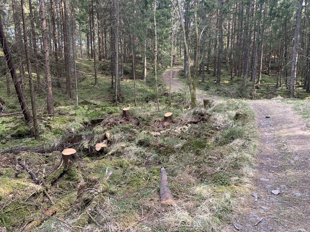 Hjelmkollen ved Svinesund