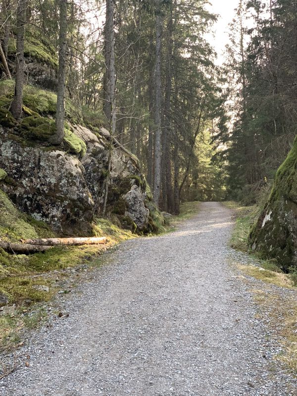 Hjelmkollen ved Svinesund