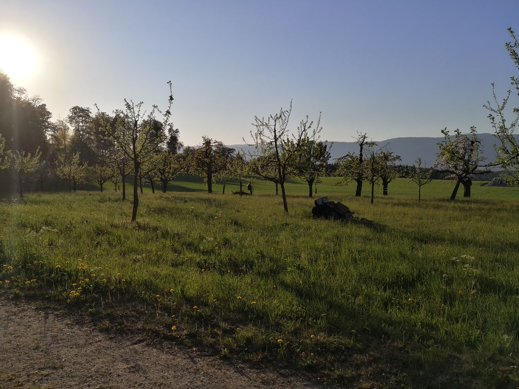Salat giessen ohne Strom