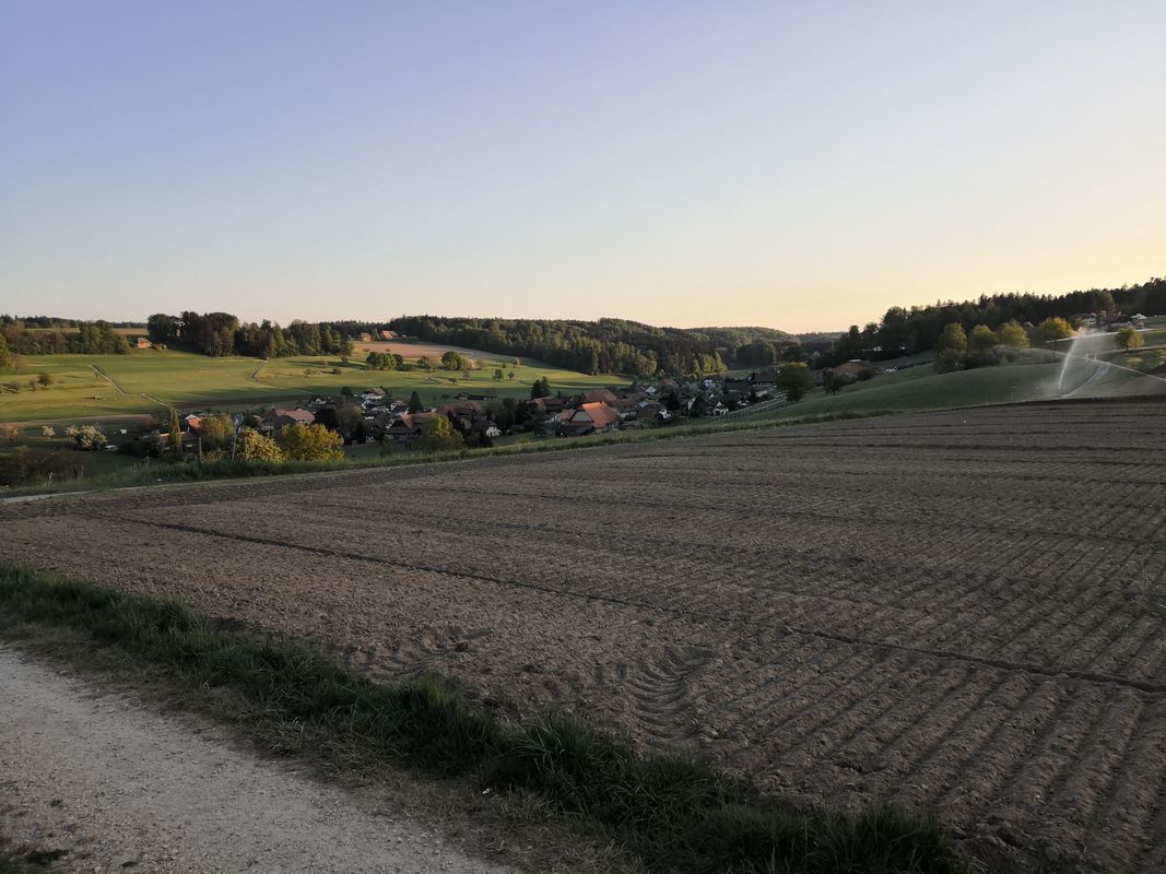 Salat giessen ohne Strom