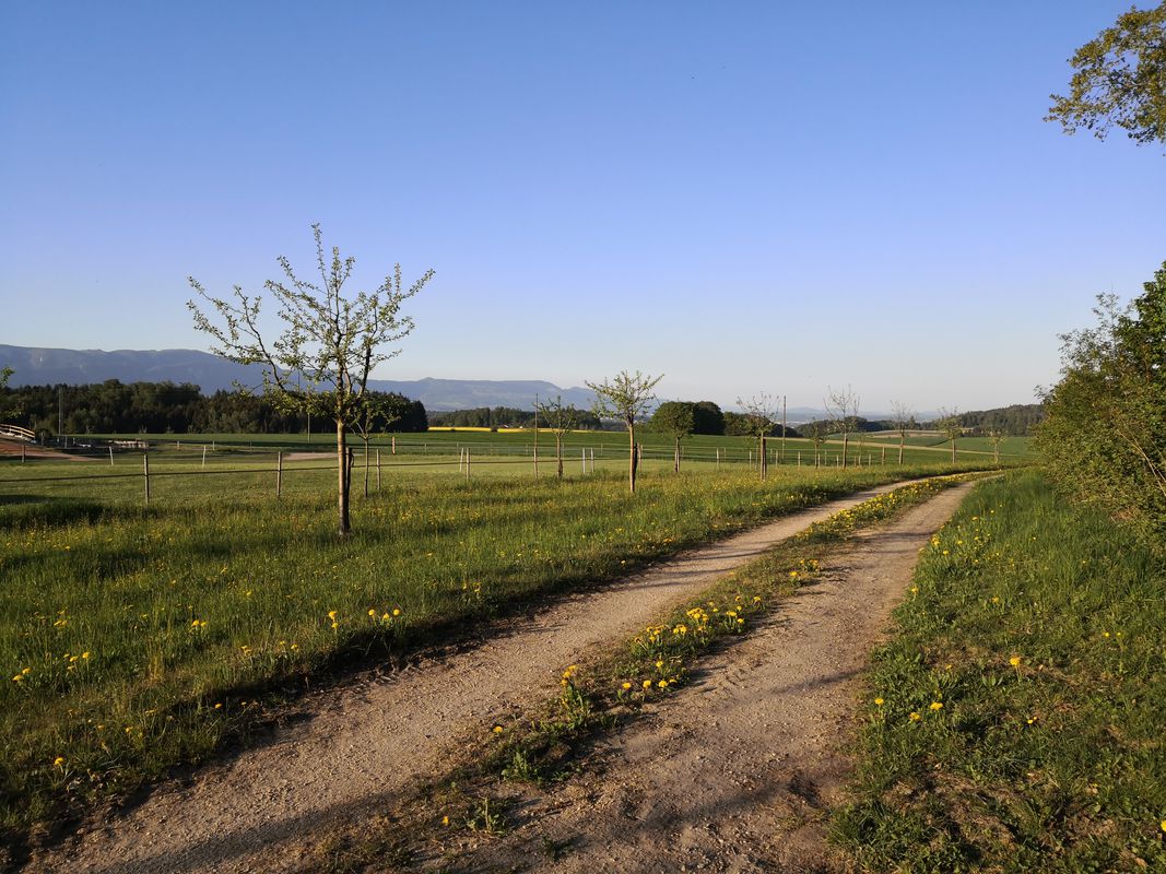 Salat giessen ohne Strom