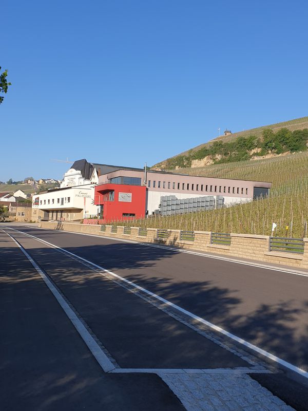 Roodt/Syr entlang der Mosel über Manternach und Betzdorf zurück