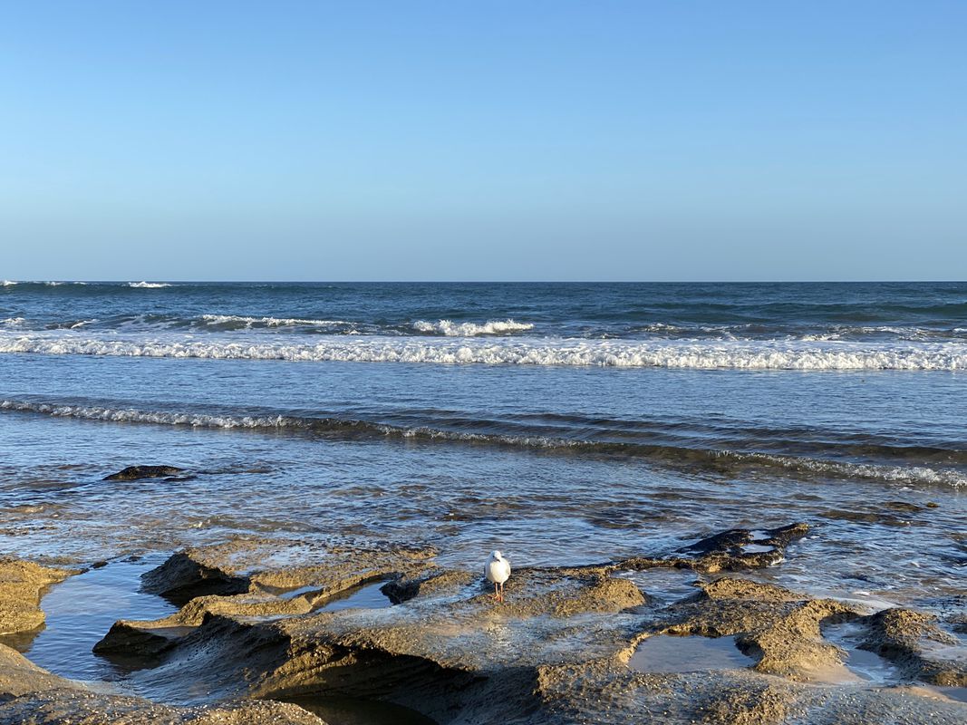 walk in Barwon Heads