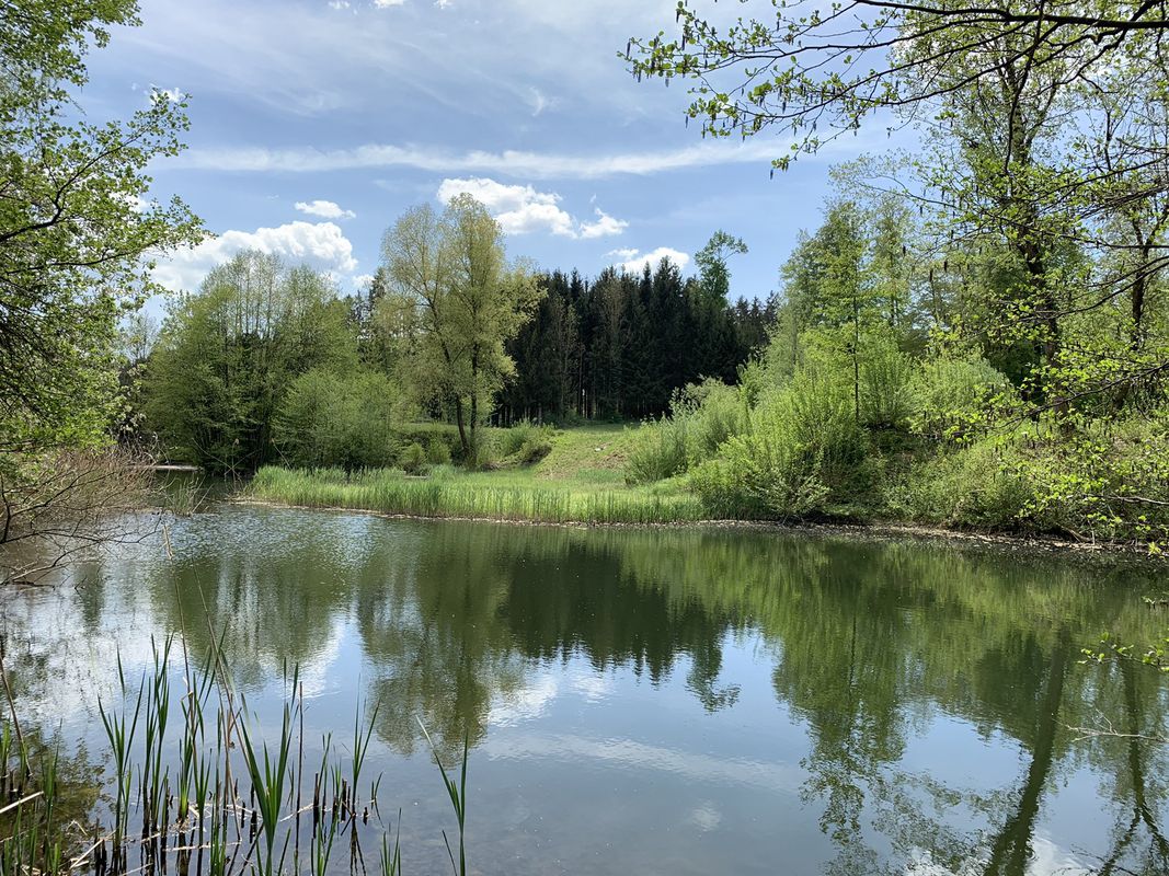 Route nach Illnau
