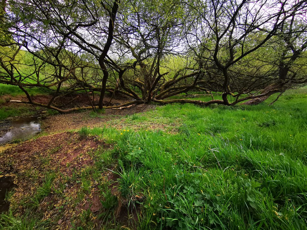 frankenblick, die zweite