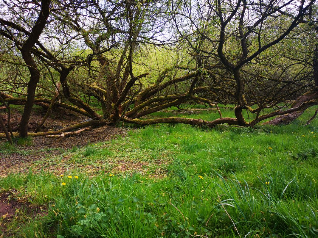 frankenblick, die zweite