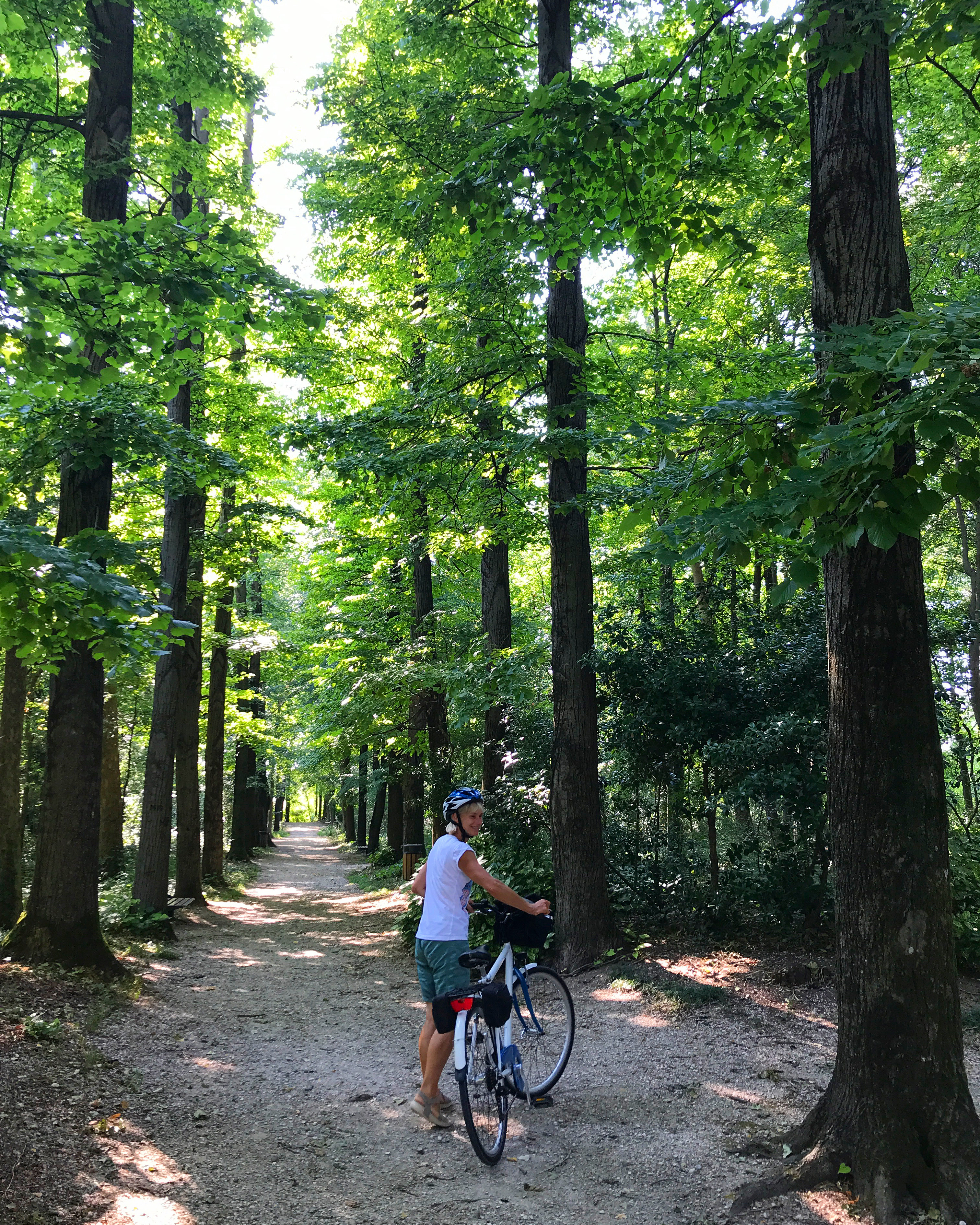 Hebe Bild 1 entlang der Bikemap-Route "Cultura e natura nella Terra dei Tiepolo (da Salzano)" hervor