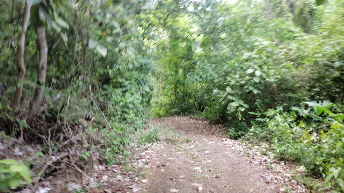 De Avenida Amapola, Jacó a Avenida Amapola, Jacó