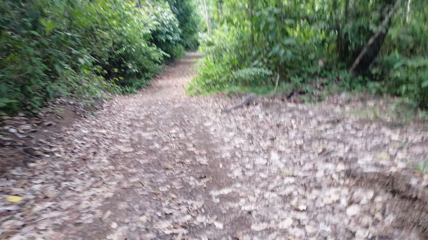 De Avenida Amapola, Jacó a Avenida Amapola, Jacó