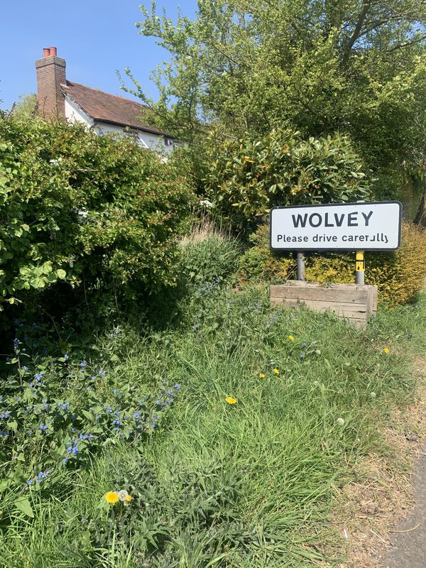 Wolvey