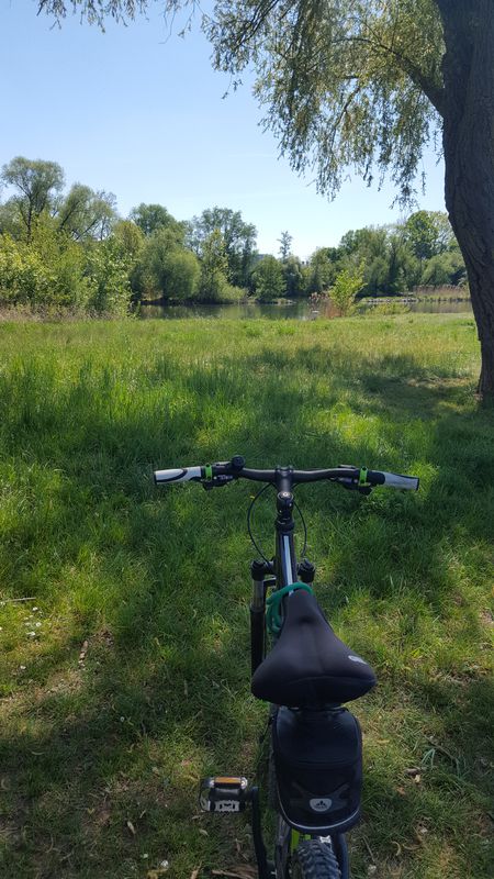 Gemütliche Route in Schweinfurt