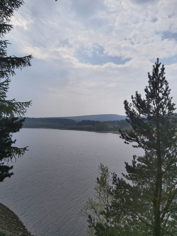 Coronavirus day 34: Home, Langsett, TPT, Dunford Bridge, Winscar Reservoir, TPT south, Oughtibridge, Morehall, Bolsterstone loop