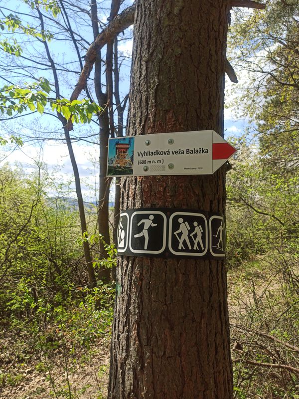 Ražňany-Sabinov-Drienica-Červená Voda-Jakovany-Miľpoš-Lúčka-Kamenica-Lipany-Červenica-Pečovská Nová Ves-Sabinov-Ražňany
