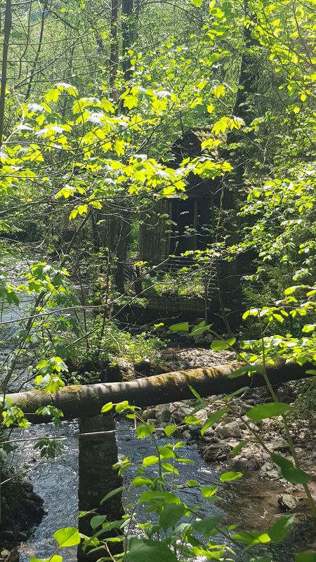 Klingentalstraße 19, Bad Säckingen nach Klingentalstraße 19, Bad Säckingen