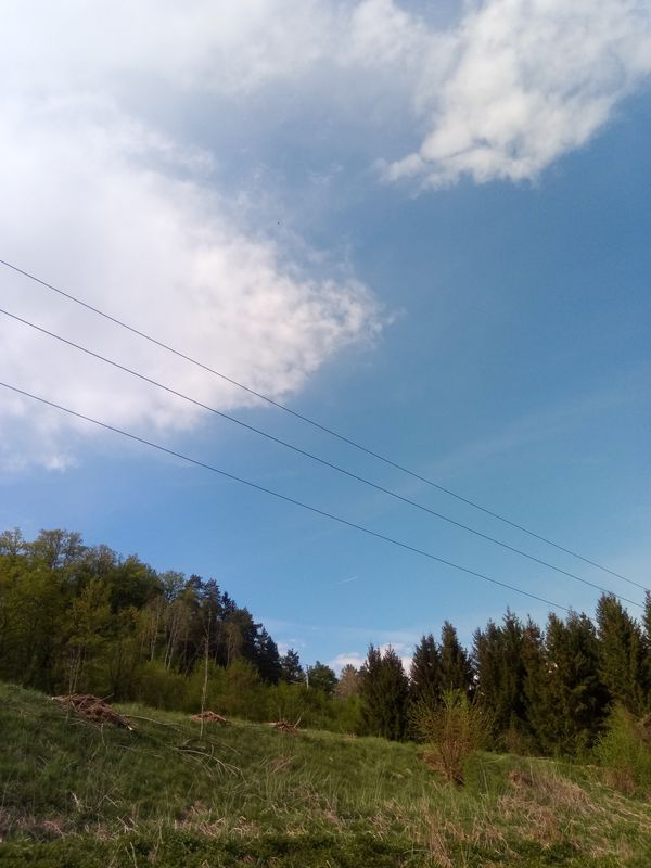 Feldgasse 13, Liebenfels nach Sonnbichl 22, Fiming