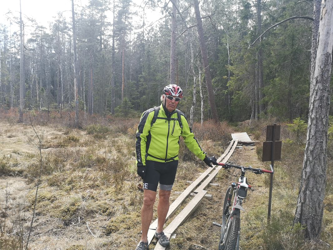Son Mosseskogen Moss Kambo Son